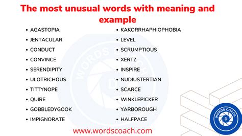 The most unusual words with meaning and example - Word Coach