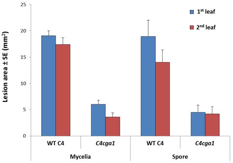 Mycelial Inocula Or Conidial Suspensions Virulence Assay For C4cga1