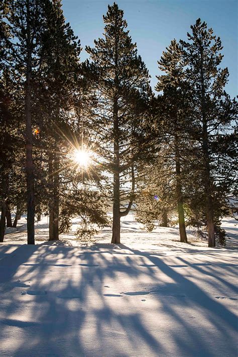 Winter Yellowstone 2015 on Behance