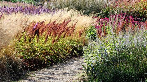 Ziergräser das perfekte Gestaltungselement für den Garten