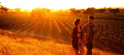 Costing And Itinerary Sustainable Wine Tour Of Barossa Valley