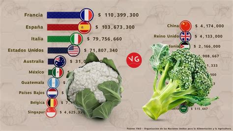 Los Países que Más Brócoli y Coliflor Exportan en el Mundo YouTube