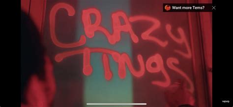 5 Things We Love About Tems Crazy Tings Video Notjustok