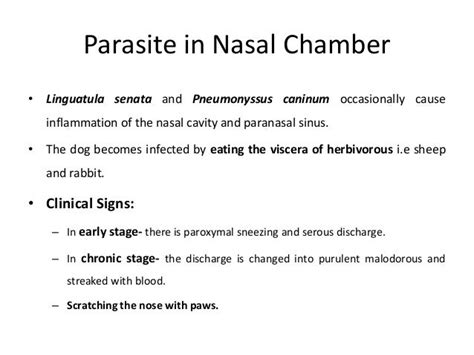 Affection And Treatment Of Nose