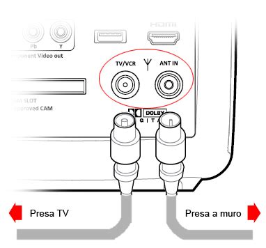 Collegare Il Digitale Terrestre Alla Tv Senza Presa Scart Digitale