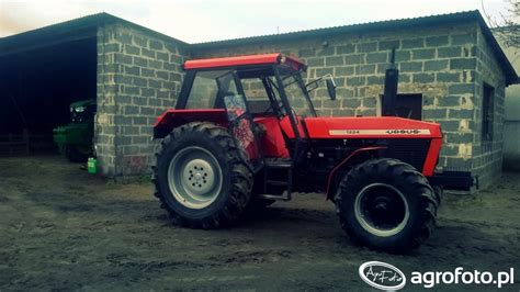 Obraz Traktor Ursus 1224 Id 623993 Galeria Rolnicza Agrofoto