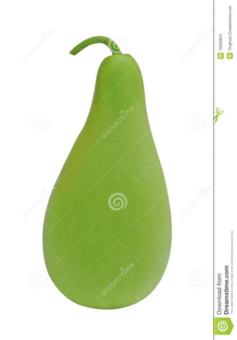 Green Gourd Clipart 20 Free Cliparts Download Images On Clipground 2023