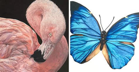 I Create Hyperrealistic Pencil Drawings Of Animals, Here Are 19 Of Them | Bored Panda