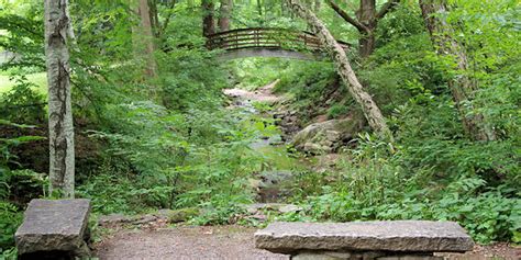 Botanical Gardens of Asheville