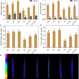 Effects Of Zinc Oxide Nanoparticles Nzn On Plant Growth Biomass