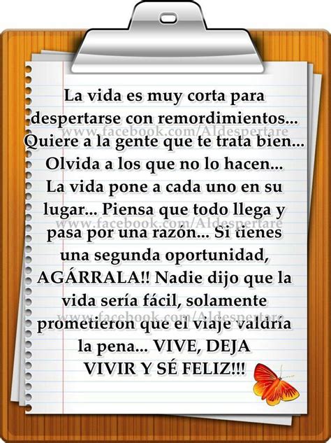 Vive Y Deja Vivir Frases Curativas Frases Reflexion Mensajes