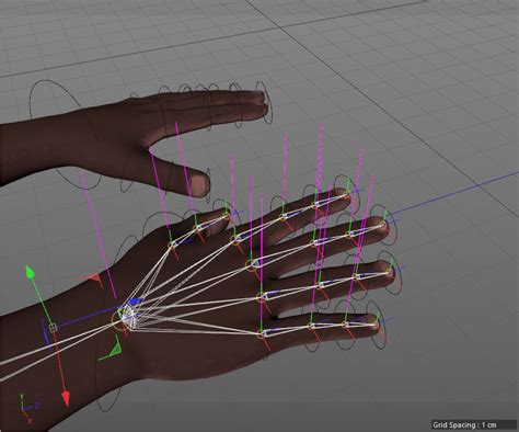 3d model of fully rigged hands