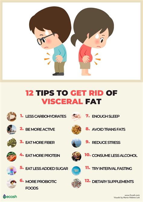 VISCERAL FAT - Why is Visceral Fat Dangerous to You and 12 Tips to Get ...