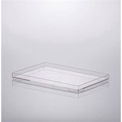 Bandeja Acrílica Transparente Paramount 25x17x2cm Cristal Submarino