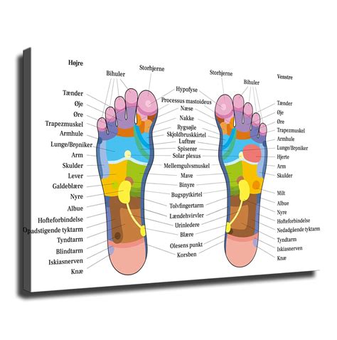 Massage Health Care Club Foot Reflexology Chart Poster