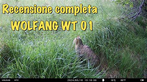 Recensione Completa Della Fototrappola Wolfang Wt Scopri Tutte Le