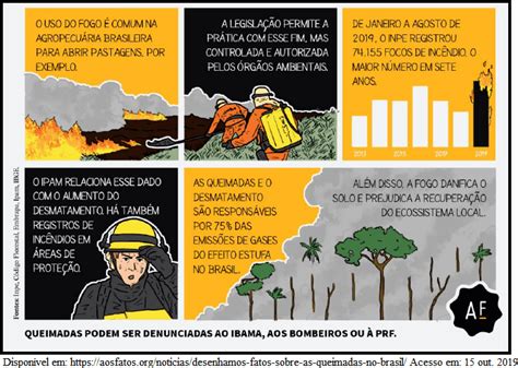 Aio Uma Consequencia Ambiental Do Desastre Descrito E