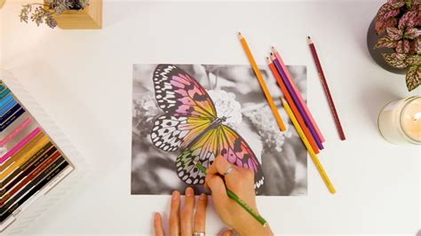 Crayola Colored Pencil Drawings