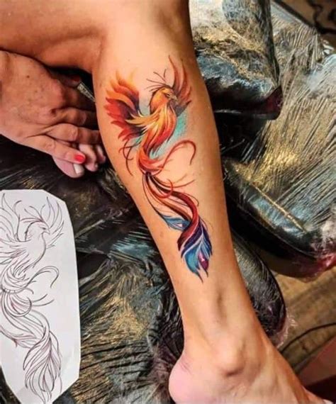 Phoenix Tattoo Ideas Stunning Designs Sky Rye