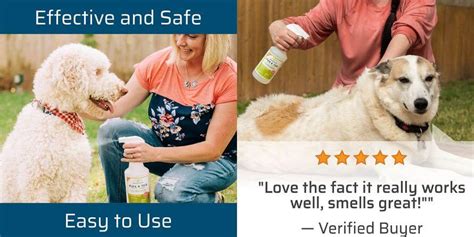 5 Best Natural Flea and Tick Spray for dogs - theoutdor