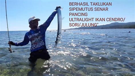 TAKLUKAN IKAN CENDRO SORI JULUNG PANJANG SATU METER LEBIH YouTube