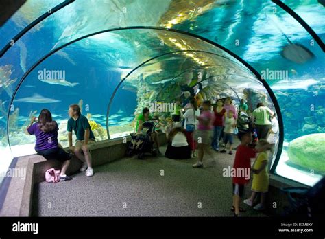 Henry Doorly Zoo - Scott Aquarium Stock Photo - Alamy