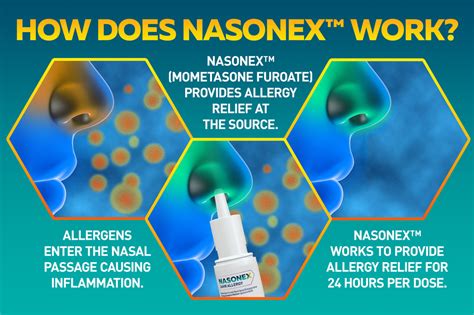 Nasonex 24HR Allergy Relief