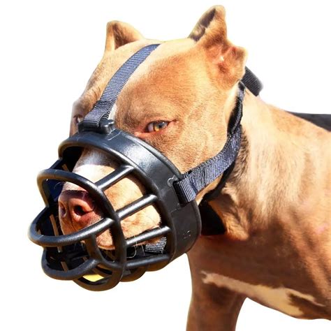 Cheap Muzzle Types, find Muzzle Types deals on line at Alibaba.com