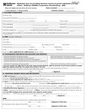 Fillable Online Rbb Application Form For Providing Electronic Services