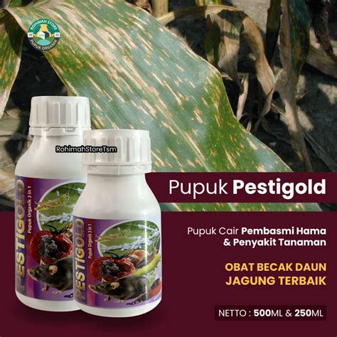 Jual Obat Hama Bercak Daun Kuning Jagung Paling Ampuh Obat Hama