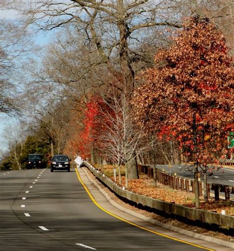 Merritt Parkway Preservation Landscape