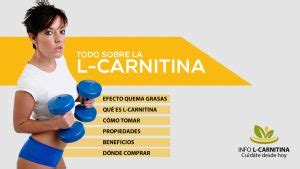 L Carnitina La Mol Cula Quema Grasas Para Adelgazar L Carnitina