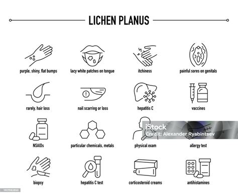 Lichen Planus Symptoms Diagnostic And Treatment Vector Icons Stock