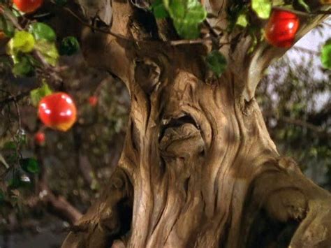 One Of The Mean Apple Throwing Trees Wizard Of Oz 1939 Wizard Of Oz