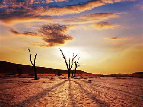 Magic Namibia: Namib-Naukluft National Park