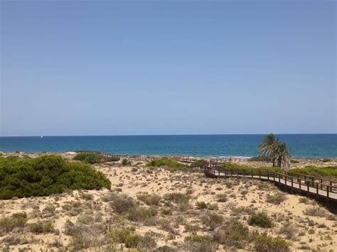 Reabren Al Ba O La Playa Del Carabass De Elche Tras Obtener Resultados