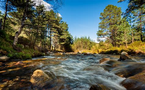 Rio con piedras en el bosque Fondo de pantalla 4k HD ID:5868