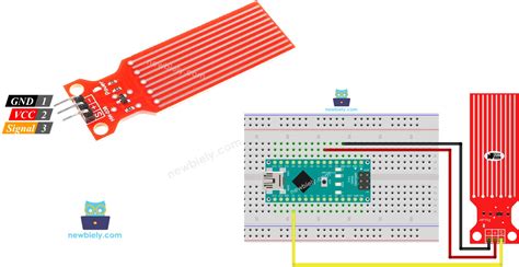 Arduino Nano Water Sensor Arduino Nano Tutorial