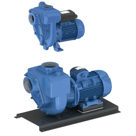 GMP Centrifugal Self Priming Pumps Pumps From Pump Co Uk W Robinson