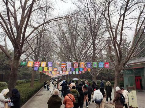 Ein Besuch Beim Tibetischen Losar Fest Im Lama Tempel In Beijing