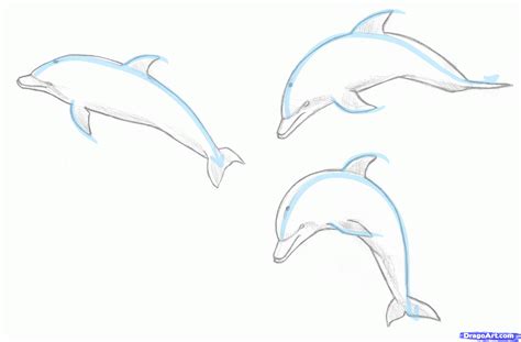 How To Draw A Jumping Dolphin Step By Step Drawing Guide By