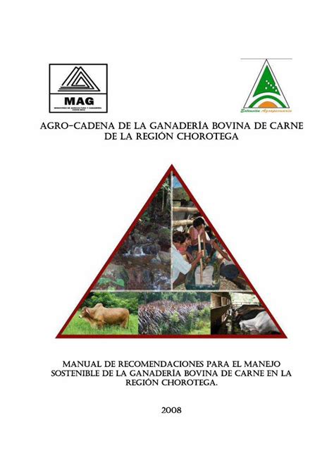 Pdf Agro Agro Cadena De La Ganader A Bovina De C A Costa