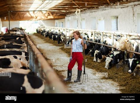 2019 Im Kuhstall Frau Vom Stier Gefickt S2 Vogels