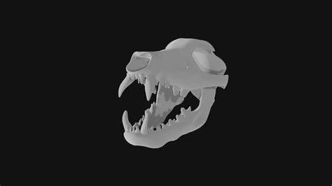 Wolf Skull 3d Model Low Poly Team 3d Yard