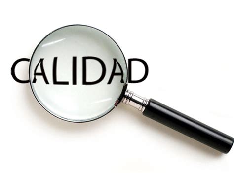 Liderdeproyecto Aseguramiento De La Calidad