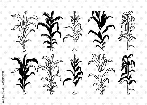 Corn Stalk Silhouette Corn Stalk Svg Corn Tree Svg Corn Svg Corn