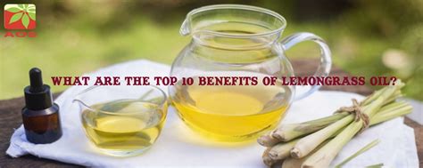 Lemongrass Oil Top 10 Benefits Uses And More Blog Online