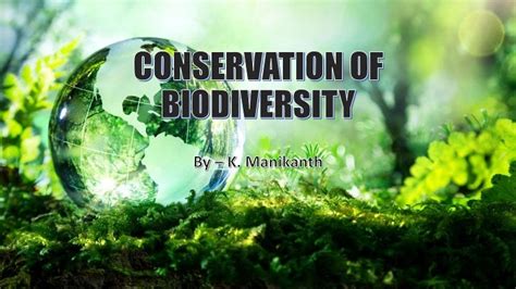 Conservation Of Biodiversity