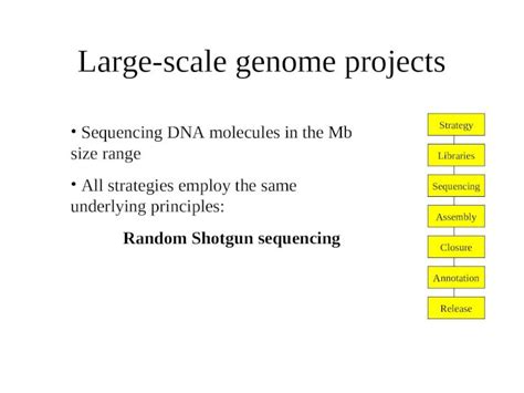 Ppt Large Scale Genome Projects Libraries Sequencing Release Assembly