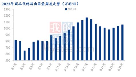 Mysteel半年报：2023下半年国内白羽肉鸭市场行情展望白羽新浪财经新浪网